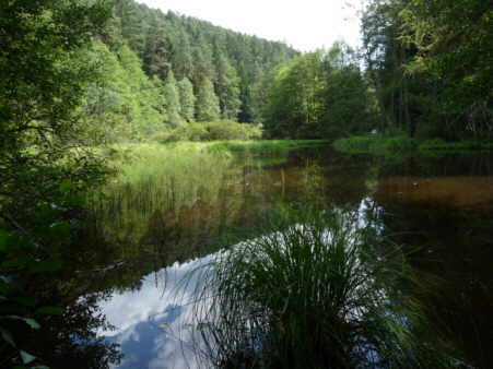 Dahner seen auf der Seite lustige Zitate